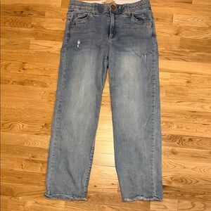 Democracy Light Blue Relaxed Jeans size 10